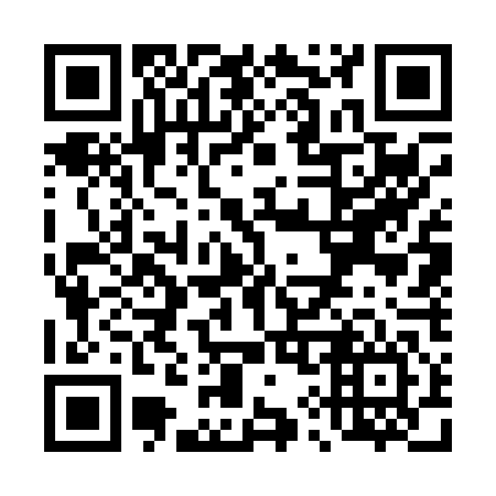 QR code for T97046