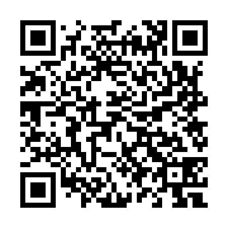 QR code for T97938