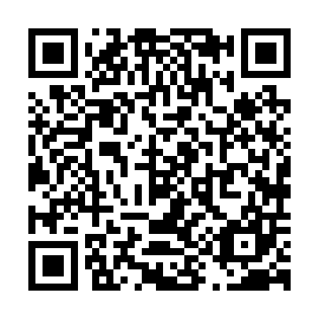 QR code for T98207