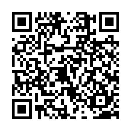 QR code for TDT2341