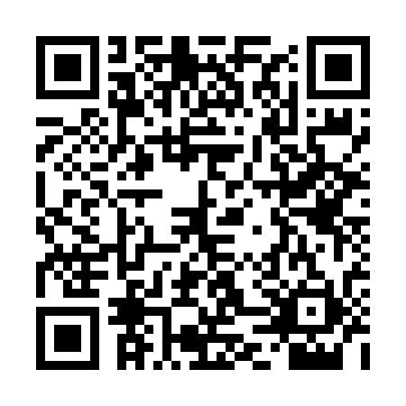 QR code for TDW-6313