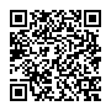 QR code for plate TDX-4345