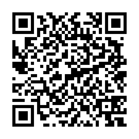QR code for TEO-4383