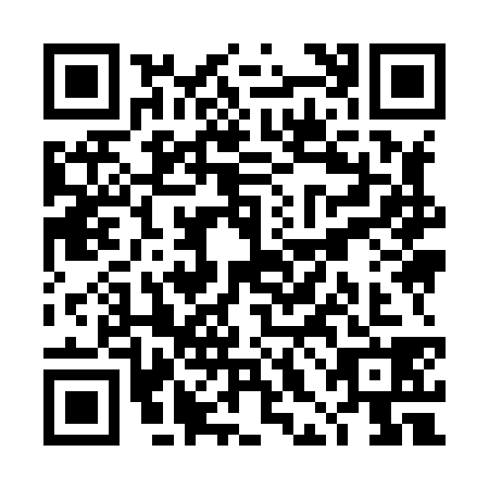 QR code for THI-8381