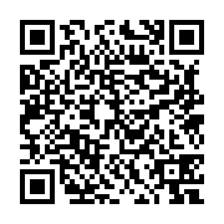 QR code for THS8384