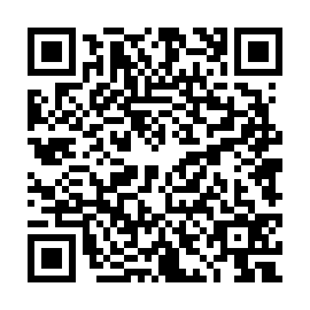 QR code for TID-6368