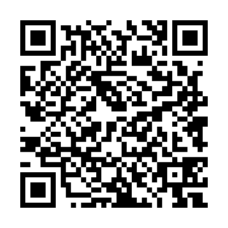 QR code for TID1383