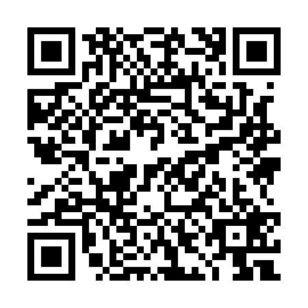 QR code for TII-1295