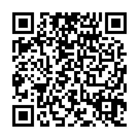 QR code for plate TIR-8041