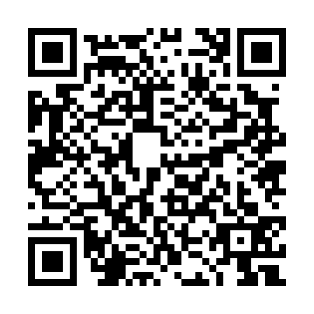 QR code for TKZ-0333