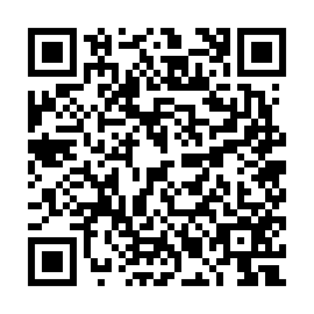 QR code for plate TMG-6565
