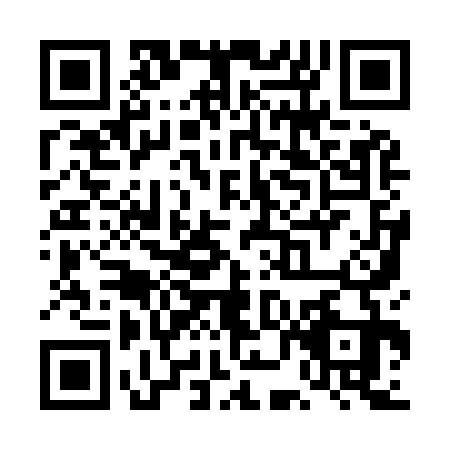 QR code for TNI9339