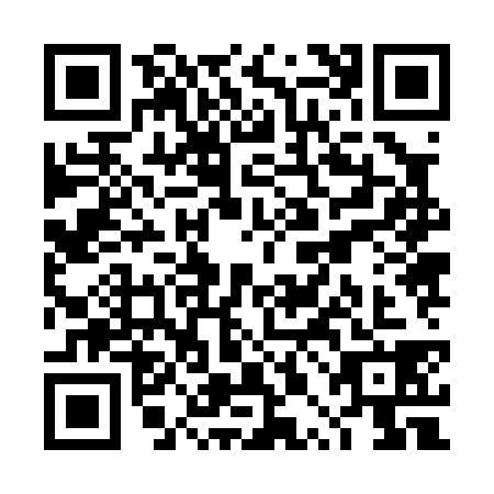 QR code for TPJ-0382