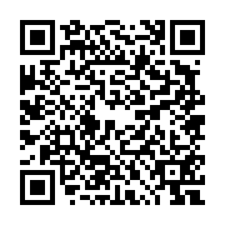 QR code for plate TPJ-4513