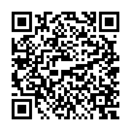 QR code for plate TQE-0466