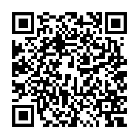 QR code for plate TSG-6675