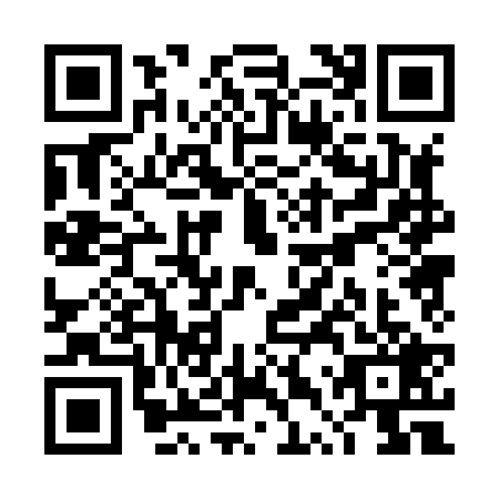 QR code for TTP8295