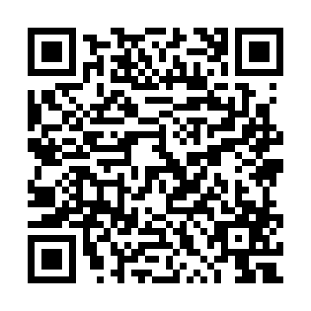 QR code for plate TXI-3875