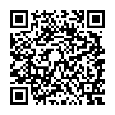 QR code for plate TXN-4913