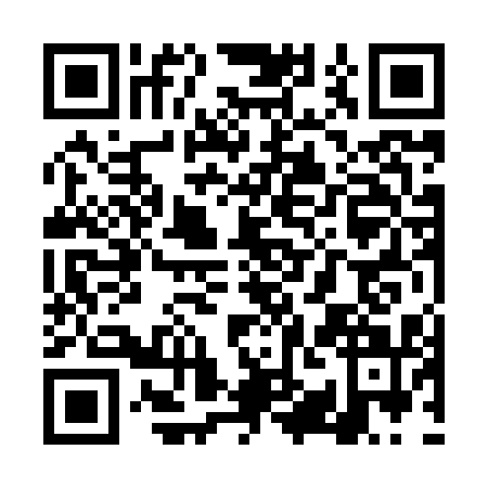 QR code for plate TYN-8111