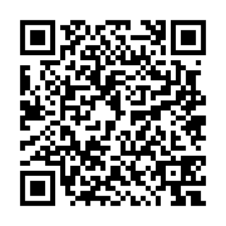 QR code for TYZ0385
