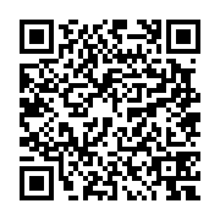 QR code for TYZ0787