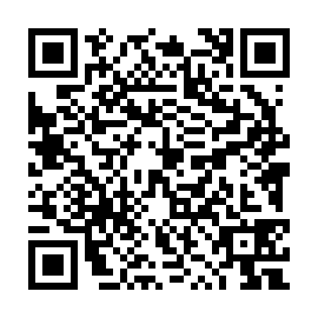 QR code for TZL-2382