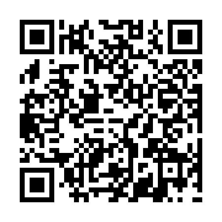 QR code for TZP2491