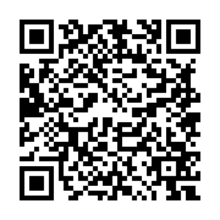 QR code for plate TZZ-8638