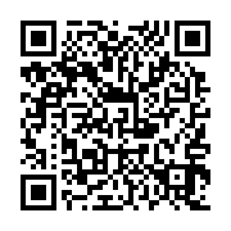 QR code for U04313
