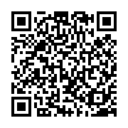 QR code for U07411