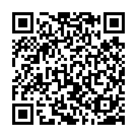 QR code for U09631