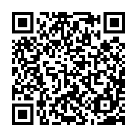 QR code for U10594