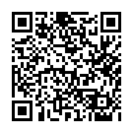 QR code for U11030