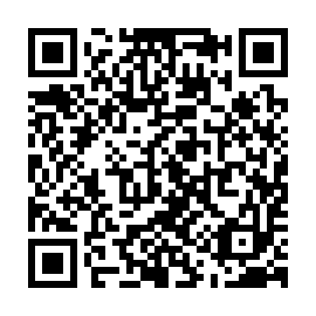 QR code for U11393