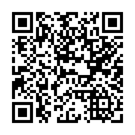 QR code for U11395