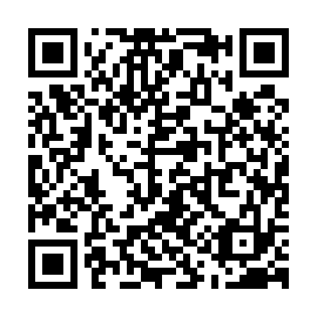 QR code for U11533