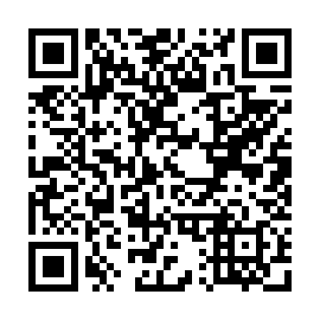 QR code for U11638