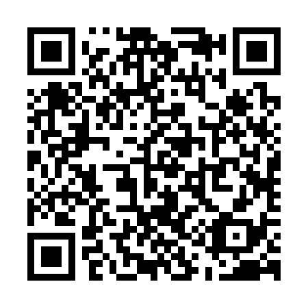 QR code for U12338