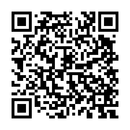 QR code for U12449