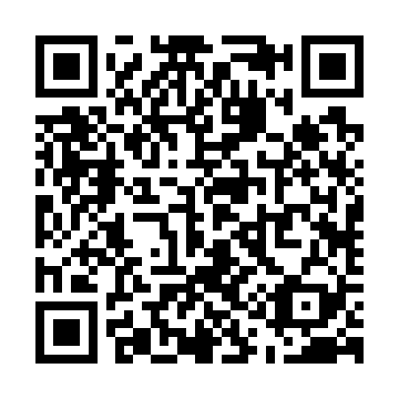 QR code for U12729