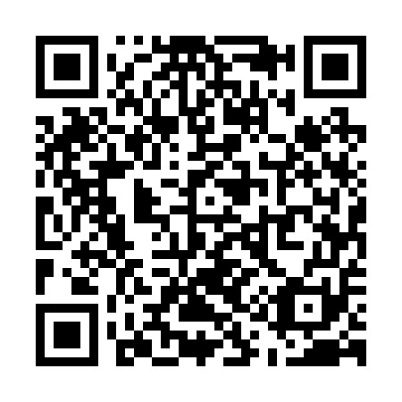 QR code for U15251