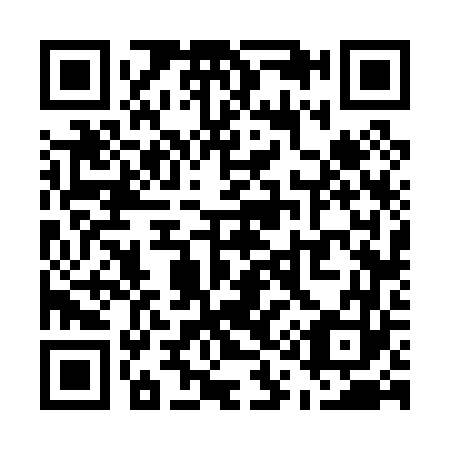 QR code for U16063
