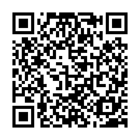 QR code for U16275