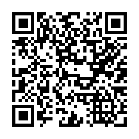 QR code for U16385