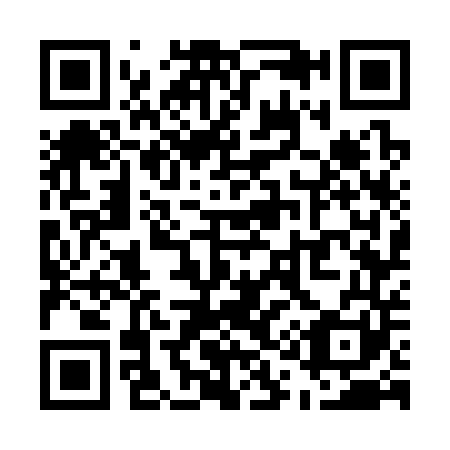 QR code for U17341