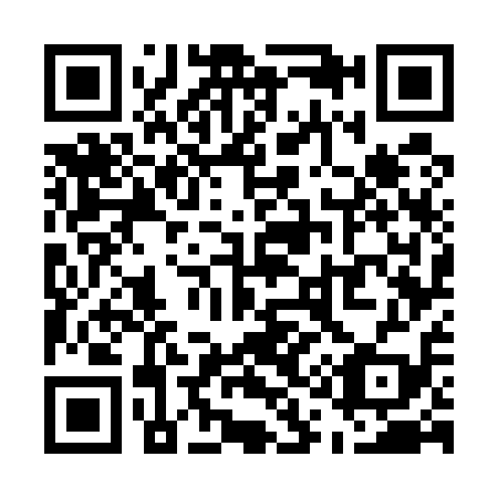 QR code for U17519