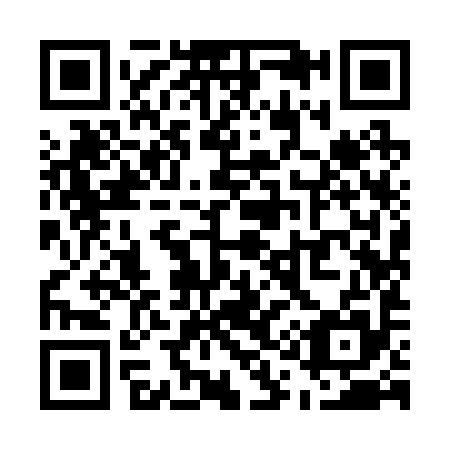 QR code for U19295