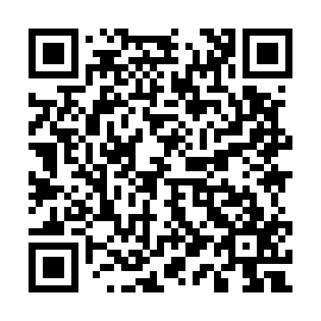 QR code for U19517