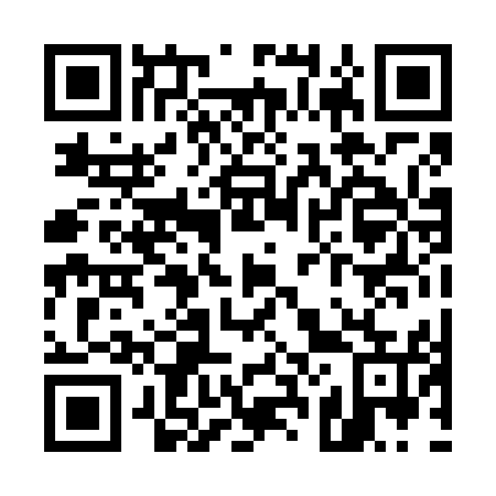QR code for U20655